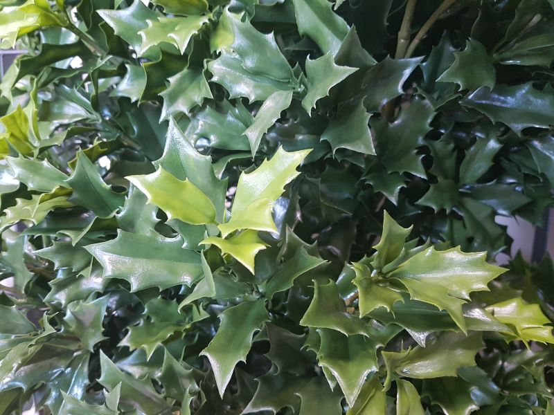 Salvia Artificiale Vitus in sacchettino di Juta, Verde