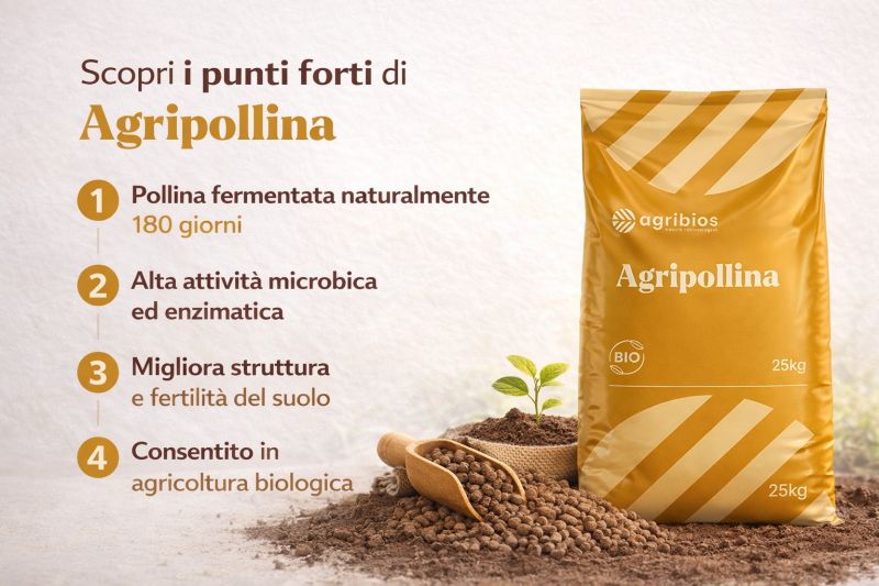 Biosinergy,  Pallet Da 39 Sacchi Da 25 Kg , Inoculo Granulare Di Funghi Micorrizici E Batteri Della Rizosfera Per Ortaggi Piante E Fiori 26475950