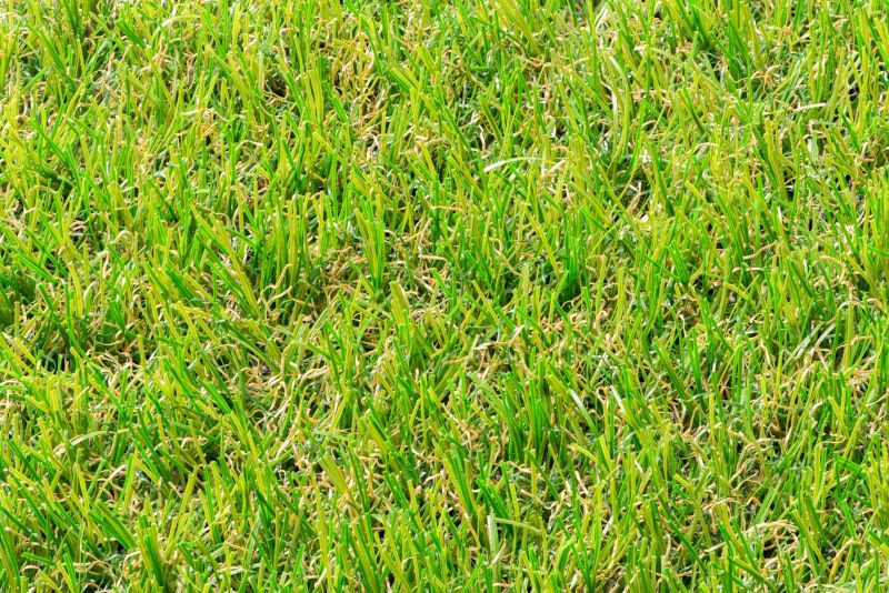 Gardiun Highland Pro II Prato Artificiale In Rotolo – 20 Mm, 500x200 Cm, Effetto Memoria - 5